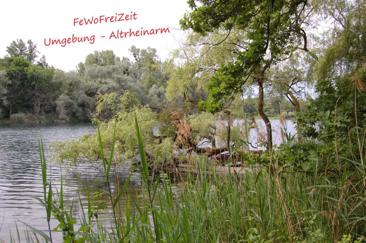 Fewofreizeit Rheinau Eksteriør bilde