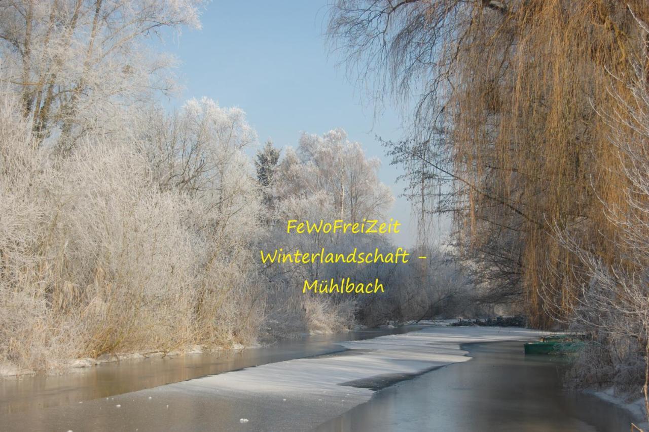 Fewofreizeit Rheinau Eksteriør bilde
